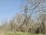 000 Selkirk Circle - Photo 4