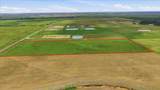 TBD Fm 1663 Road - Photo 4