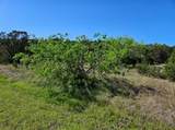 43136 Lantana Dr - Photo 4