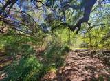 0 Schroeder Road - Photo 7
