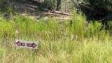 TBD Lady Luck Ln Parcel 246445 Road - Photo 2