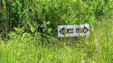 TBD Lady Luck Ln Parcel 246445 Road - Photo 3