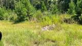 TBD Lady Luck Ln Parcel 246445 Road - Photo 7