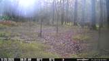 Lot 25 Frank Ln - Photo 10