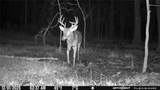 Lot 25 Frank Ln - Photo 11
