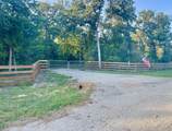 9226 Stetson Drive - Photo 14