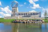 3405 Wild Mustang Street - Photo 18