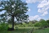 TBD County Road 482 - Photo 16