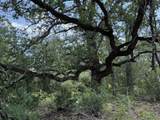 TBD County Road 482 - Photo 22