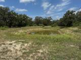 TBD County Road 482 - Photo 26