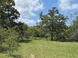 TBD County Road 482 - Photo 34