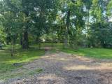 TBD Lakeshore /Black Walnut Drive - Photo 1