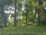TBD Lakeshore /Black Walnut Drive - Photo 10