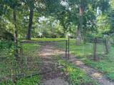 TBD Lakeshore /Black Walnut Drive - Photo 11