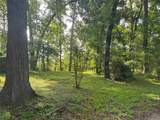 TBD Lakeshore /Black Walnut Drive - Photo 12