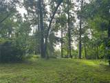 TBD Lakeshore /Black Walnut Drive - Photo 19