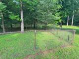 TBD Lakeshore /Black Walnut Drive - Photo 20
