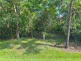 TBD Lakeshore /Black Walnut Drive - Photo 6