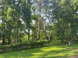 TBD Lakeshore /Black Walnut Drive - Photo 9