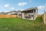 11302 Flower Petal Court - Photo 41