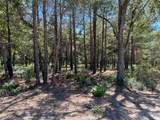 Lot 35 Fm 489 - Photo 4