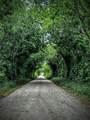 006 Schroeder Rd - Photo 5