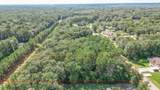27542 Rio Blanco Drive - Photo 14