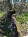 0 Mustang Loop Lane - Photo 3