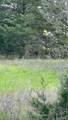 0 Mustang Loop Lane - Photo 5