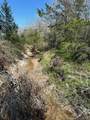 0 Mustang Loop Lane - Photo 6