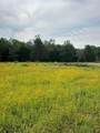 0 Mustang Loop Lane - Photo 7