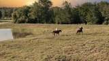9 Round Top Farms Drive - Photo 4