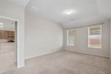 16320 Olive Sparrow Drive - Photo 15
