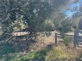 8431 Us-59 South - Photo 3