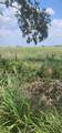 00 County Road 654 - Photo 4