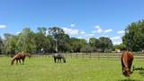 6030 Vicki Lynn Lane - Photo 38