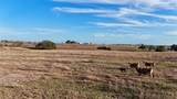 4228 County Road 256 - Photo 48