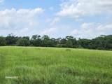 40224 Fm 1488 Road - Photo 12
