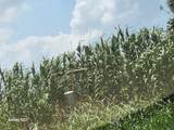 40224 Fm 1488 Road - Photo 15
