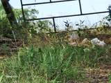 40224 Fm 1488 Road - Photo 9