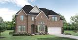 4910 Palm Grove Drive - Photo 1