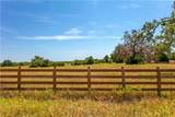 TBD Fm-166 Farm To Market Road - Photo 5