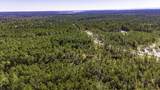 0311 Magnolia Ranch Road Road - Photo 11