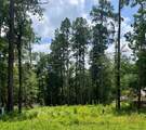 10820 Royal York Drive - Photo 1