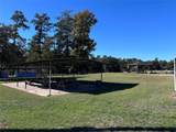 lot 16 Hackberry Drive - Photo 8
