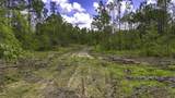 TBD Lot 001 Holland Road - Photo 2