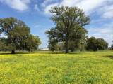 16427 Majestic Oaks Drive - Photo 2
