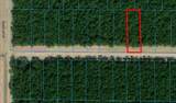 1853 Road 66116 - Photo 5