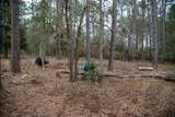 16438 Grand Flower Road - Photo 4