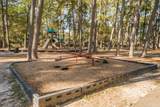 3203 Golden Willow Drive - Photo 43